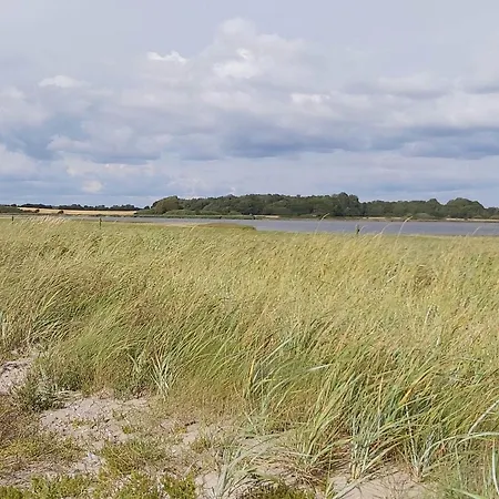 Beachfront Family Retreat - By Traum * Næs
